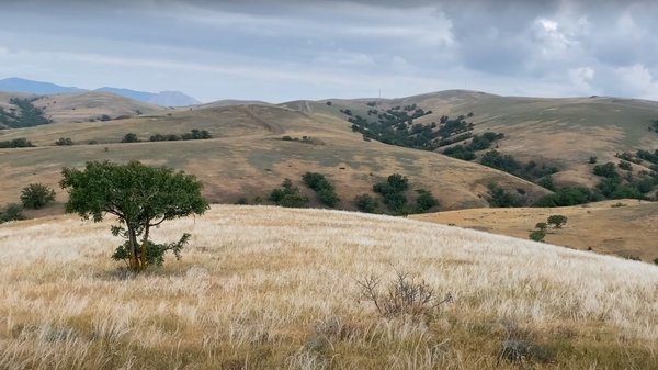 Водная блокада Крыма аукнется Украине в суде в самом ближайшем будущем 