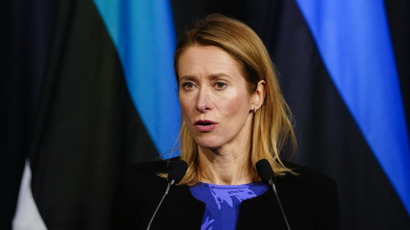 СМИ: ряд стран ЕС против инициативы Каллас по военной помощи Украине