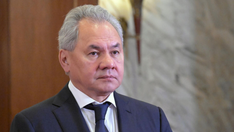 Шойгу призвал разгромить воскрешаемый на Западе нацизм