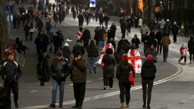 "Опять уши Макрона торчат". Алиев прокомментировал беспорядки в Грузии