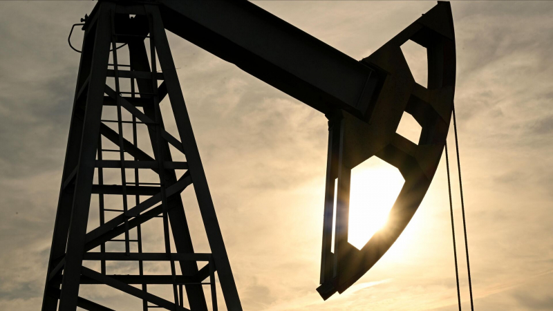 В Пакистане заявили о возобновлении импорта российской нефти
